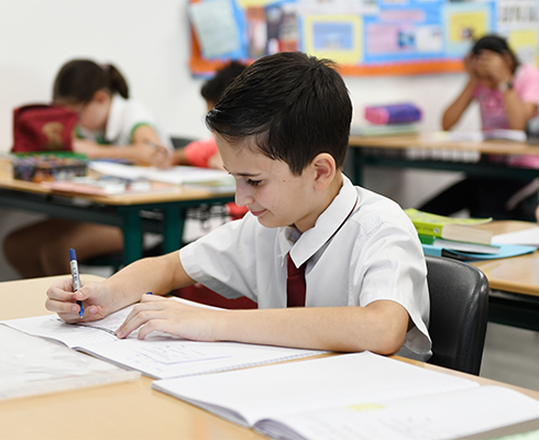 curriculum